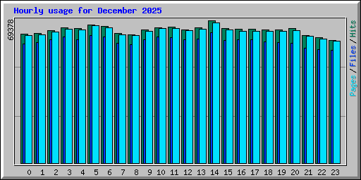 Hourly usage for December 2025